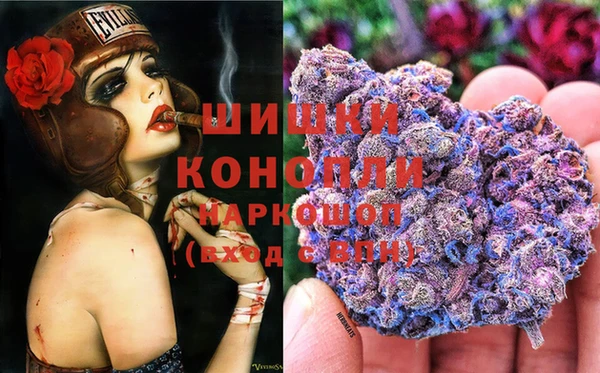 соль ск Алзамай