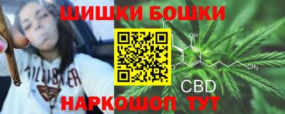 эйфоретик Заводоуковск