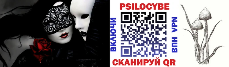 магазин    Кольчугино  Галлюциногенные грибы мухоморы 