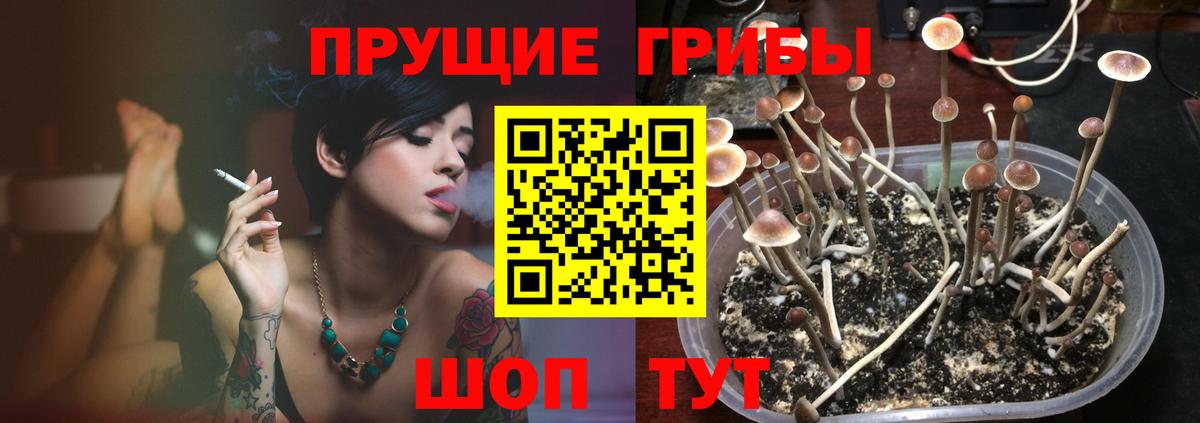 Галлюциногенные грибы мицелий  Вход с VPN  Кольчугино  Галлюциногенные грибы мухоморы 